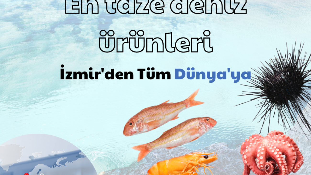 KARİDES
